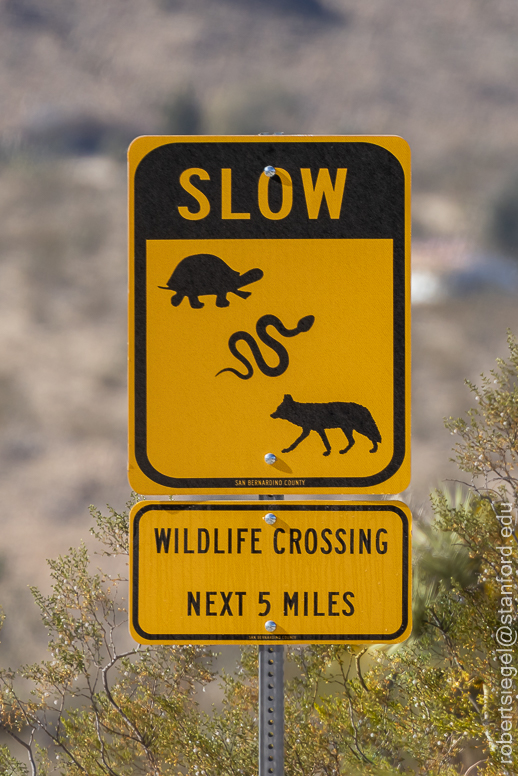 Joshua Tree National Park